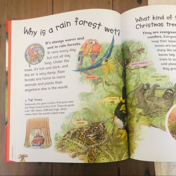 Hardcover “Ask Me” Book Series (Lot of 6) - Picture 5 of 5